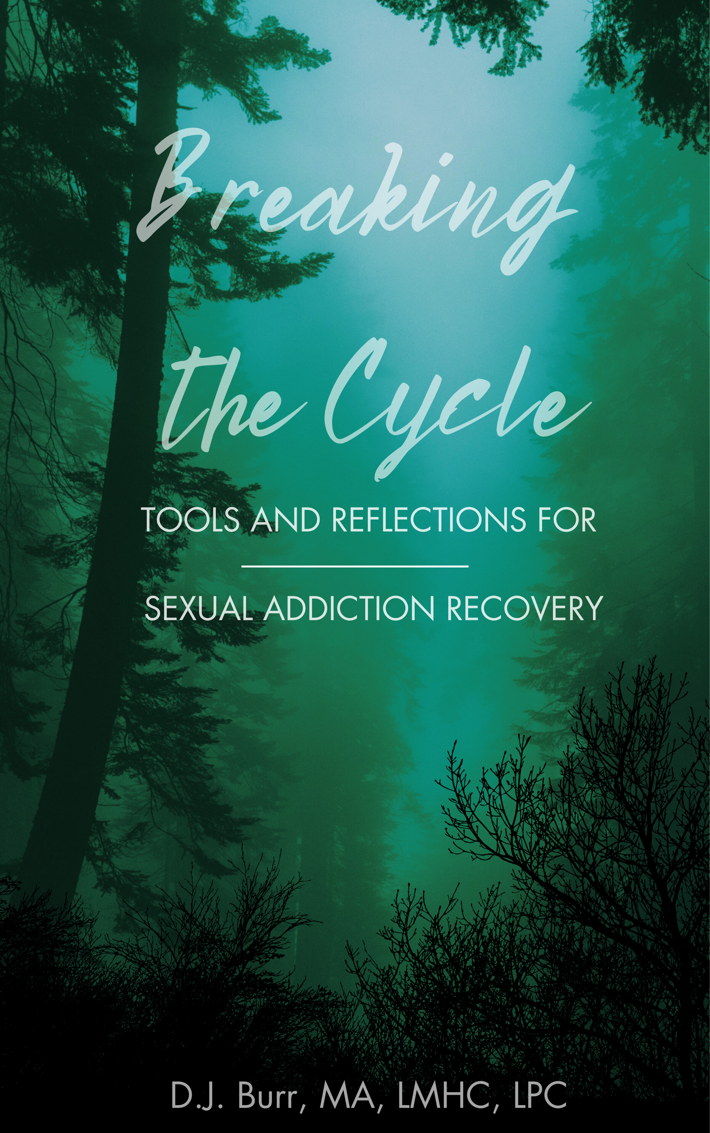 Breaking the Cycle: Tools and Reflections for Sex Addiction Recovery